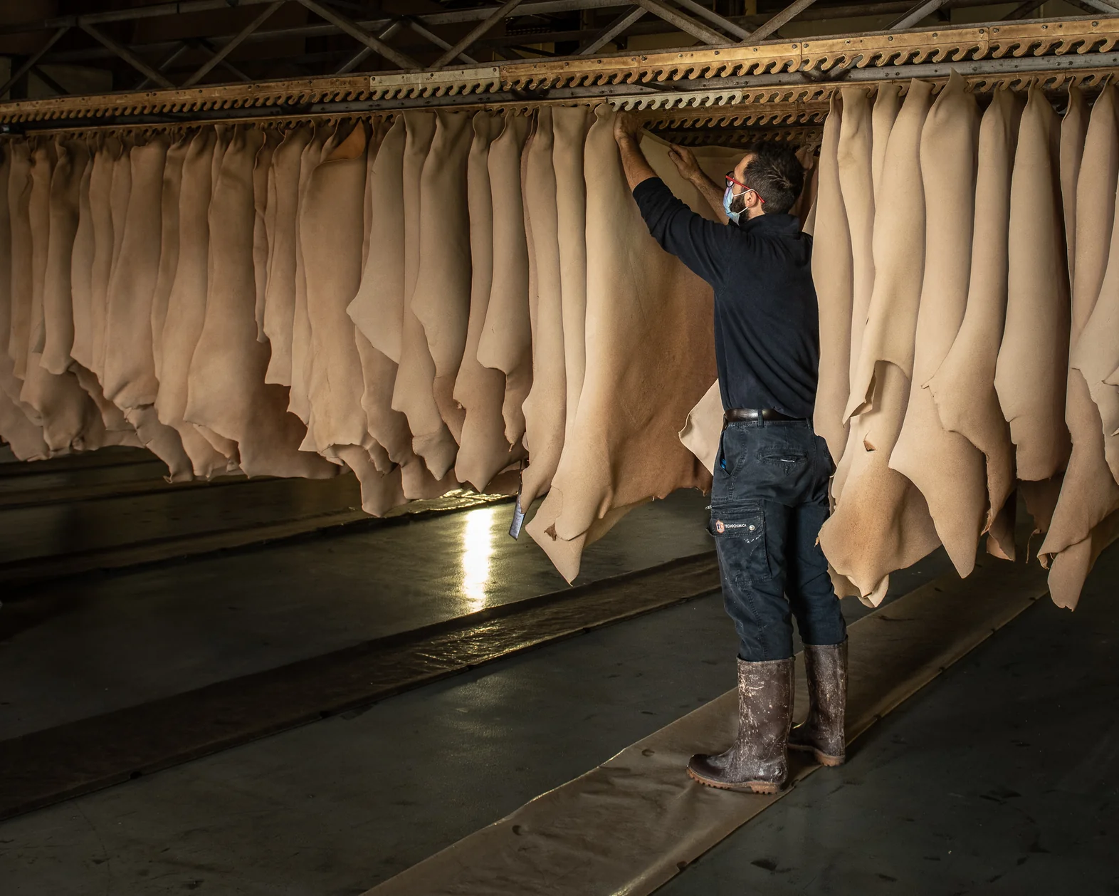 Tannery worker hanging crust leather hides on the drying rack