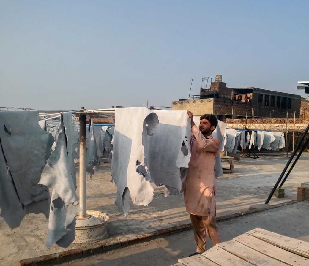 Controlled leather drying process